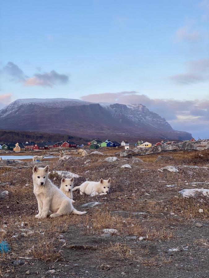 Hotel Disko Island Qeqertarsuaq Exterior photo
